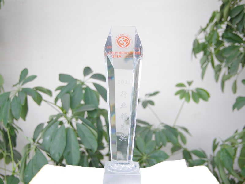 2018年12月20日，山东爱尔宠物美容学校被山东省宠物行业协会授予“2018行业领先奖”。
