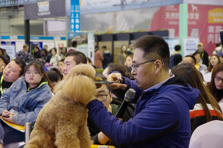 2019年青岛宠物展校长穆老师受邀举办《宠物萌系流行造型》讲座！
