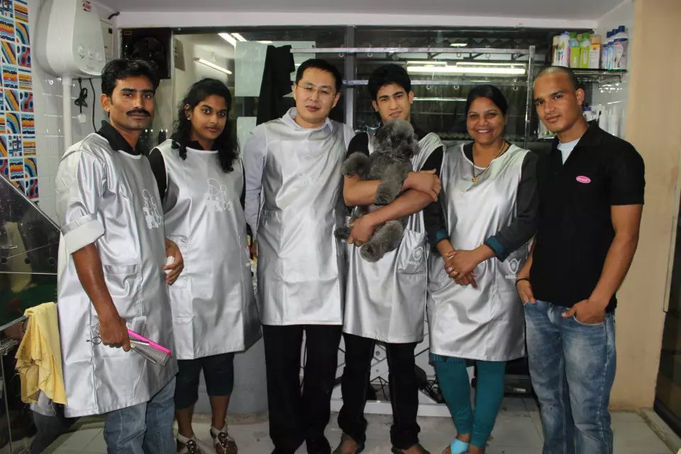 2014年山东爱尔宠物美容学校校长穆老师赴印度进行为期一个月的讲学！